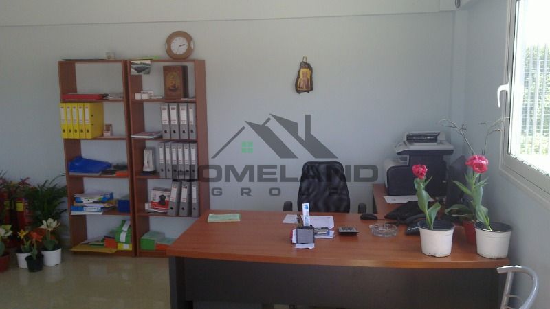 homelandgroup real estate agency