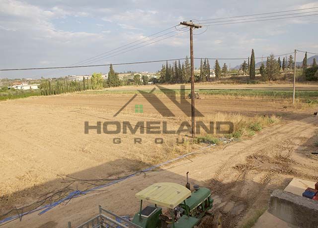 homelandgroup real estate agency