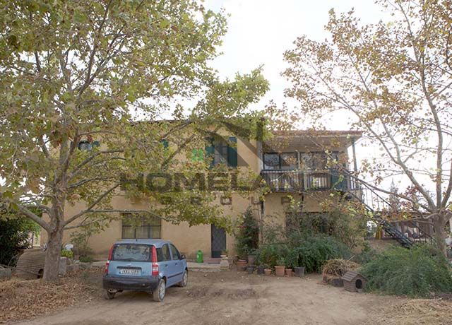 homelandgroup real estate agency