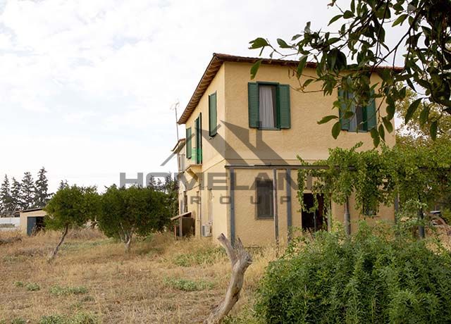 homelandgroup real estate agency