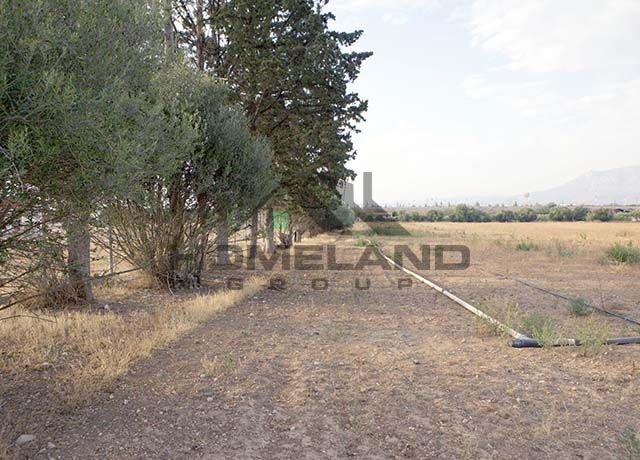 homelandgroup real estate agency