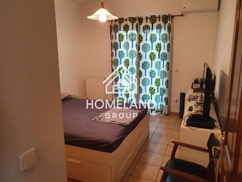 homelandgroup real estate agency