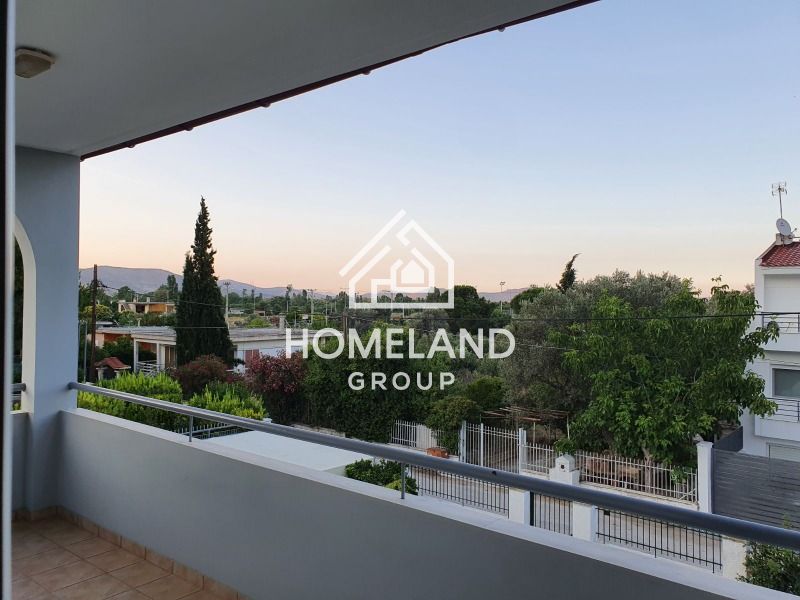homelandgroup real estate agency