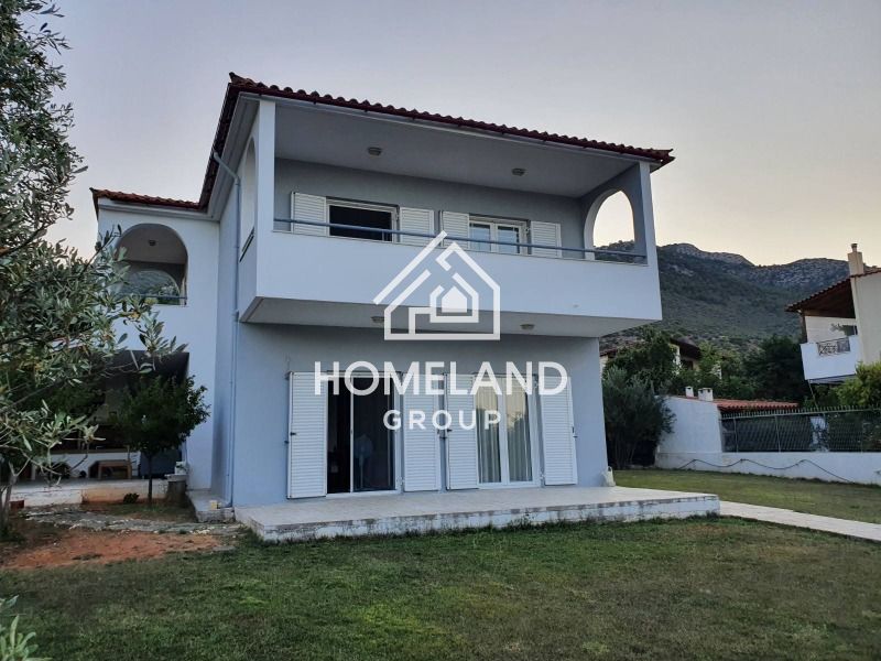 homelandgroup real estate agency