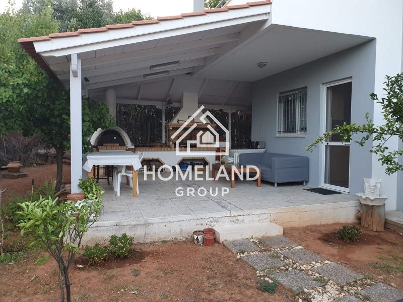 homelandgroup real estate agency