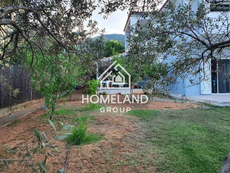 homelandgroup real estate agency