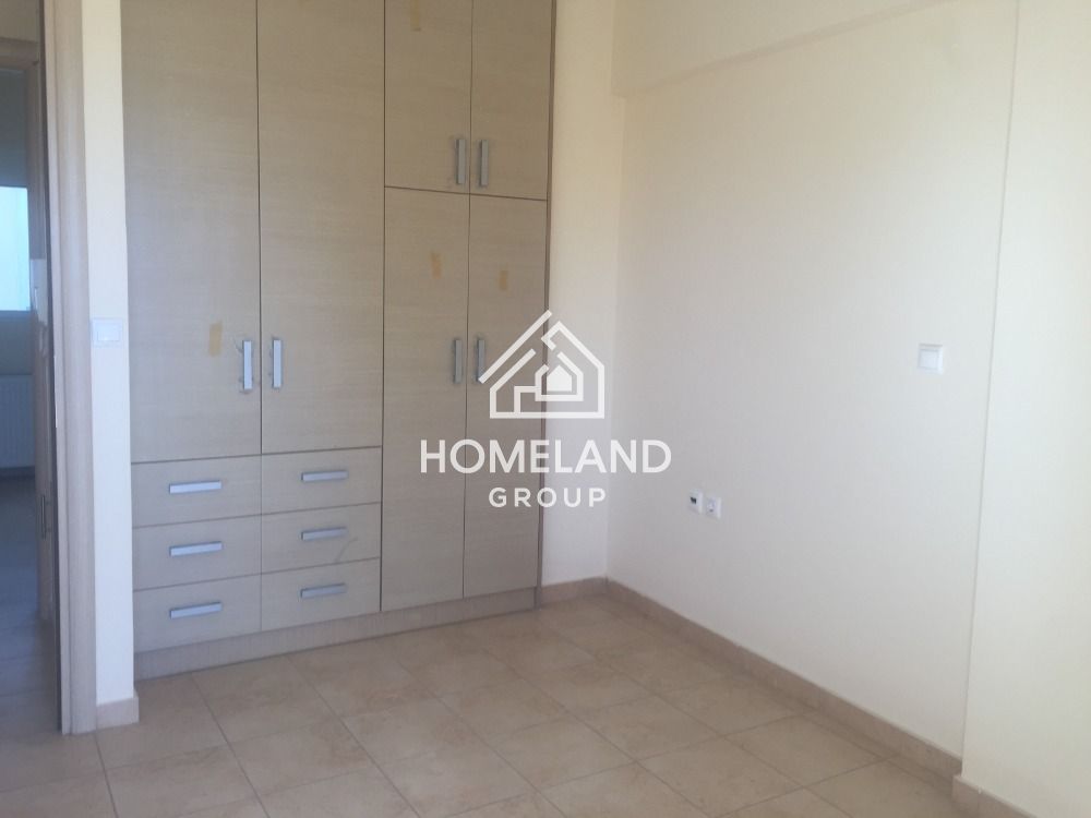 homelandgroup real estate agency