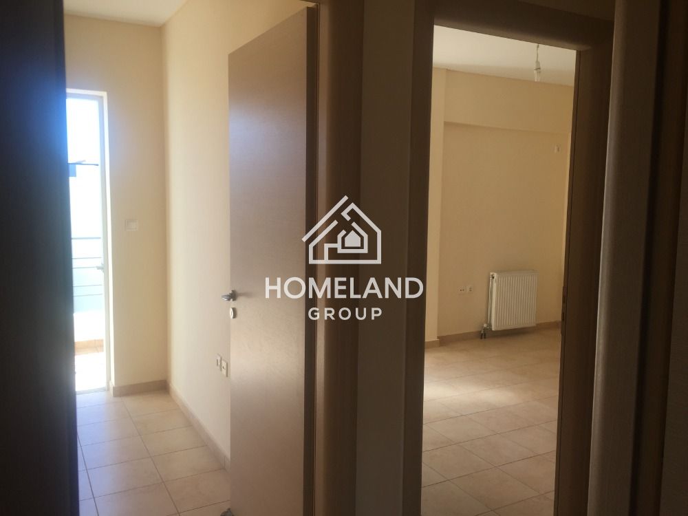 homelandgroup real estate agency