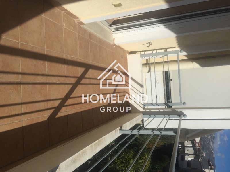 homelandgroup real estate agency