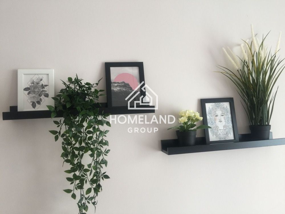 homelandgroup real estate agency
