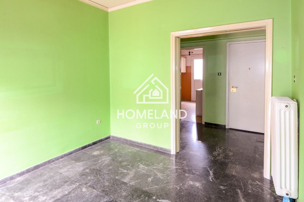 homelandgroup real estate agency