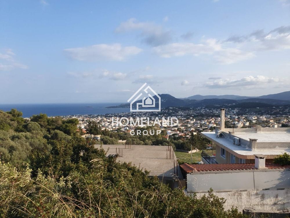 homelandgroup real estate agency