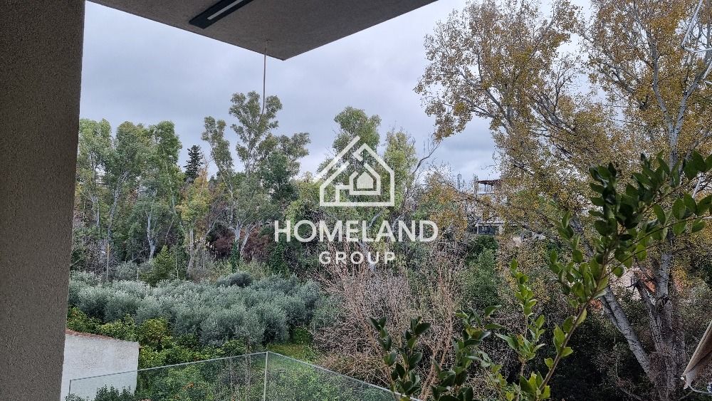 homelandgroup real estate agency