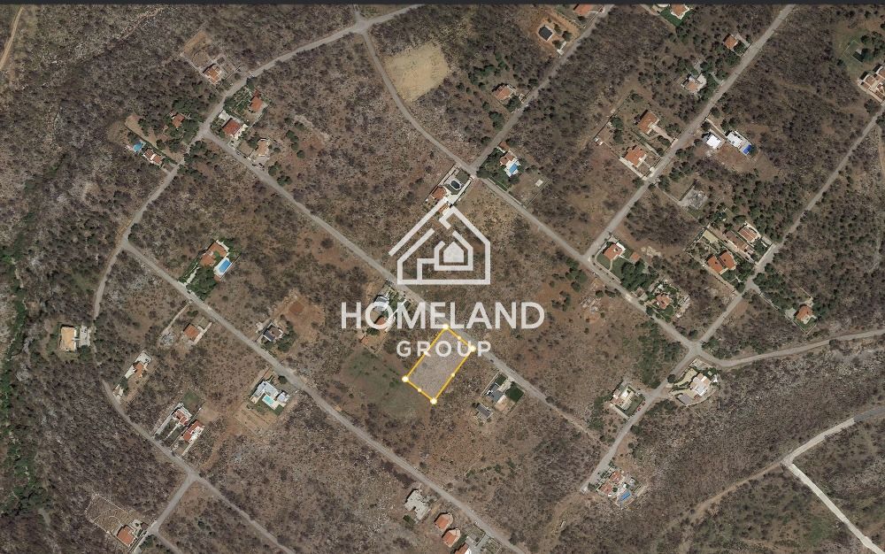 homelandgroup real estate agency