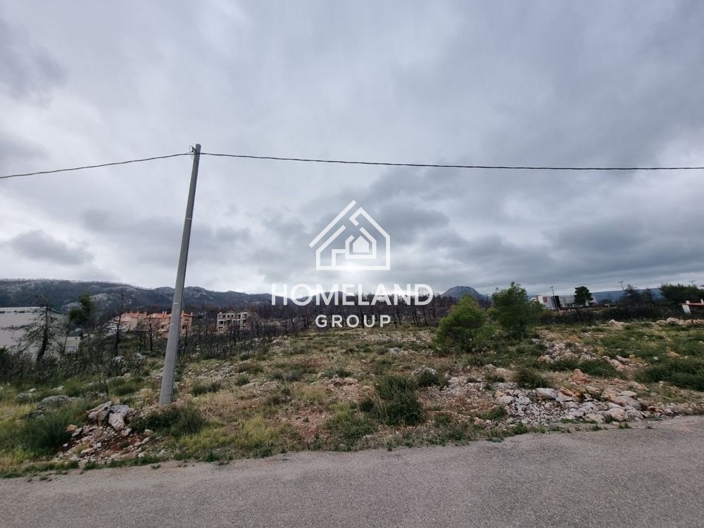 homelandgroup real estate agency