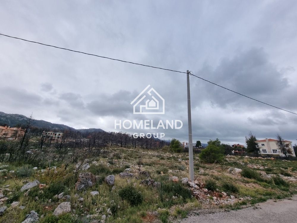 homelandgroup real estate agency