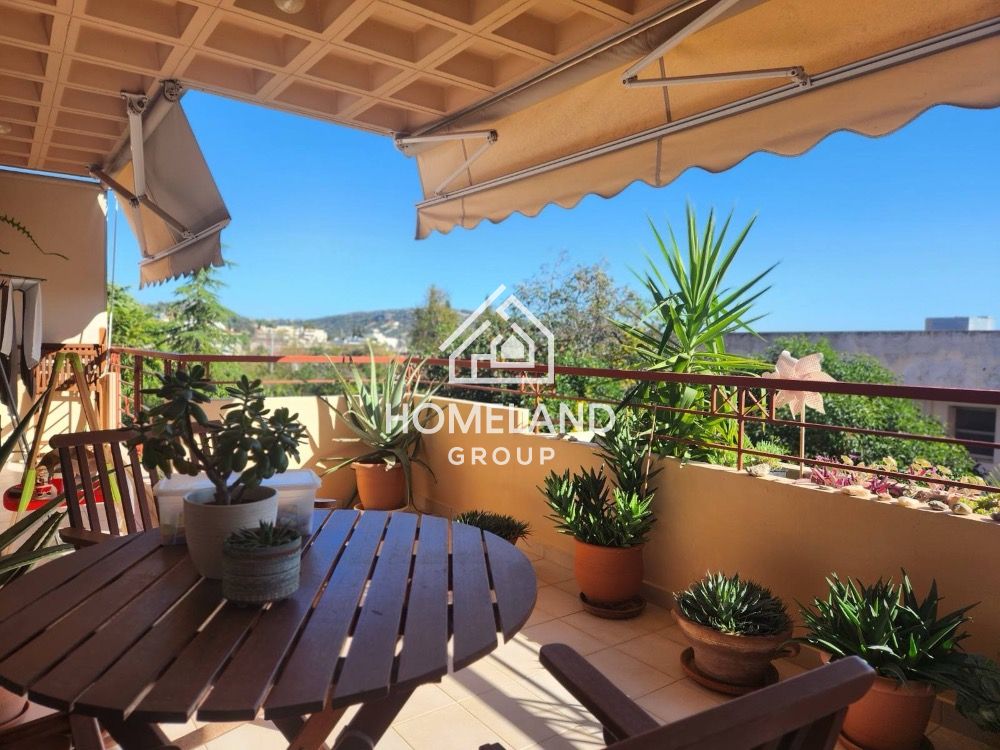 homelandgroup real estate agency