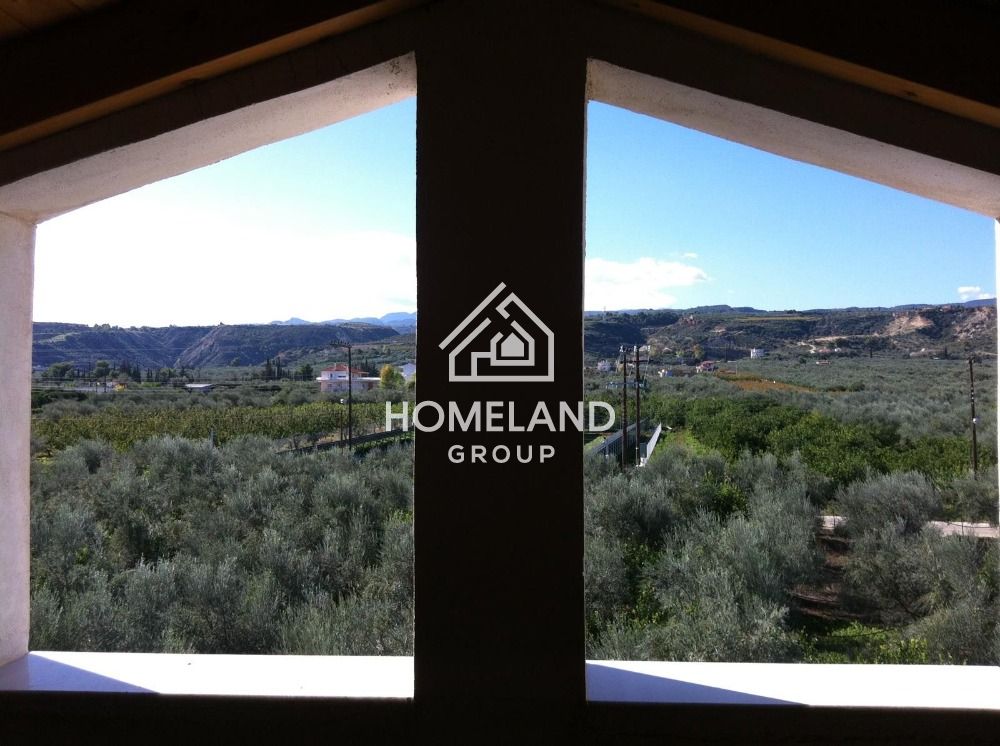 homelandgroup real estate agency