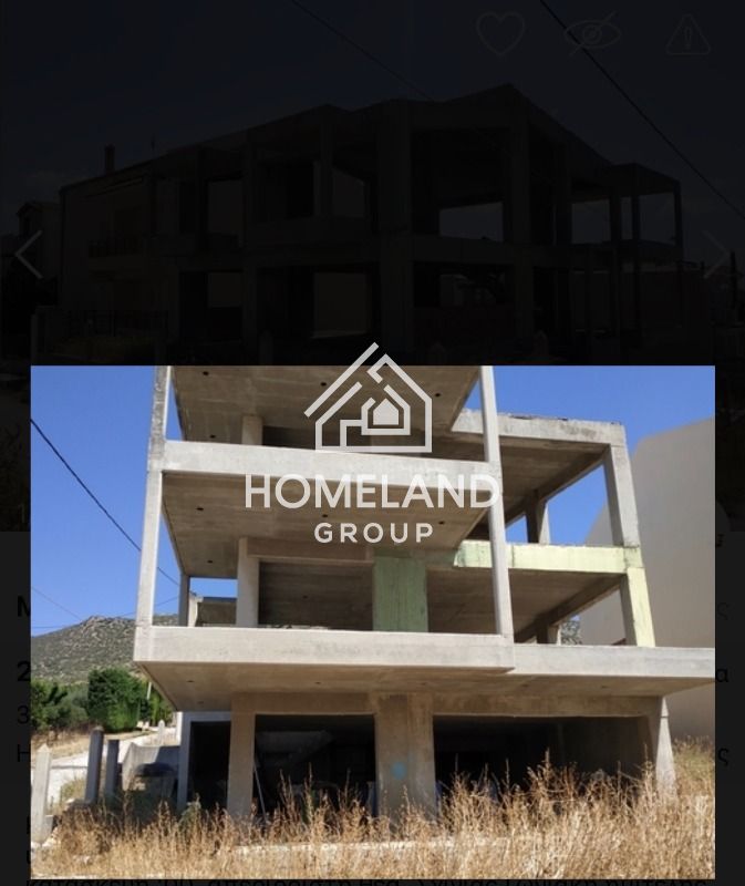 homelandgroup real estate agency