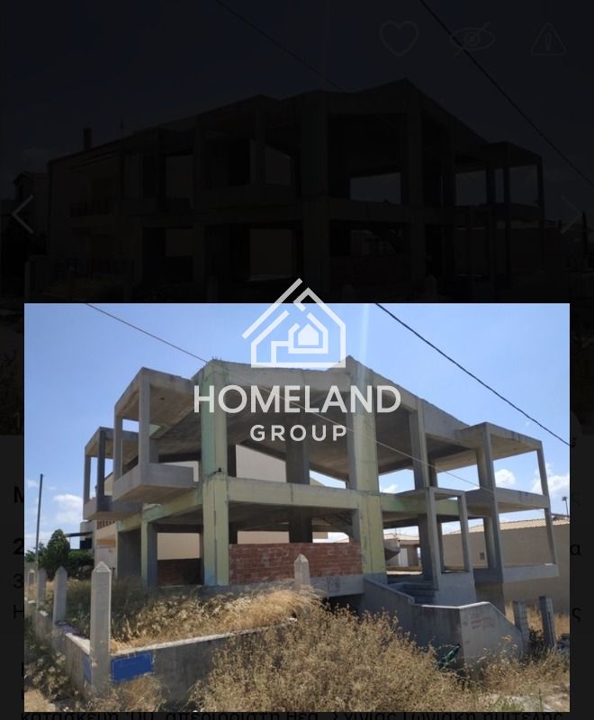 homelandgroup real estate agency