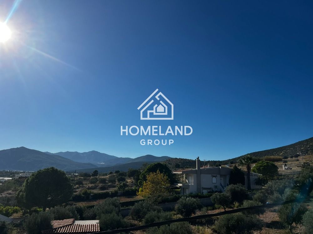 homelandgroup real estate agency