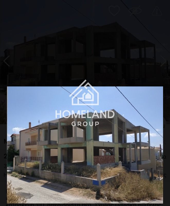 homelandgroup real estate agency