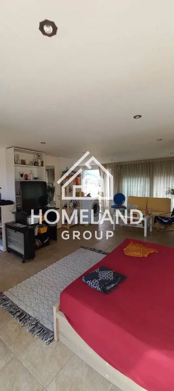 homelandgroup real estate agency