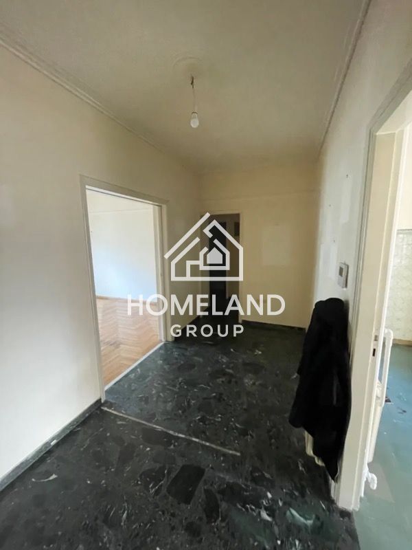 homelandgroup real estate agency