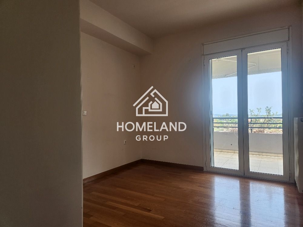 homelandgroup real estate agency