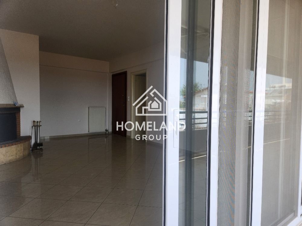 homelandgroup real estate agency