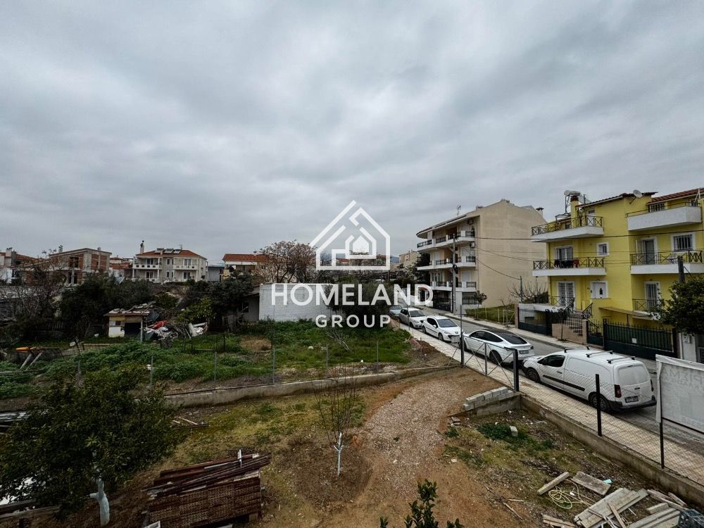 homelandgroup real estate agency