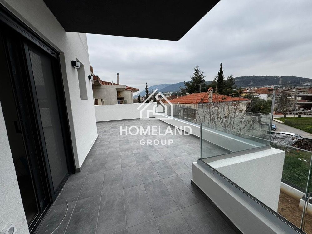 homelandgroup real estate agency