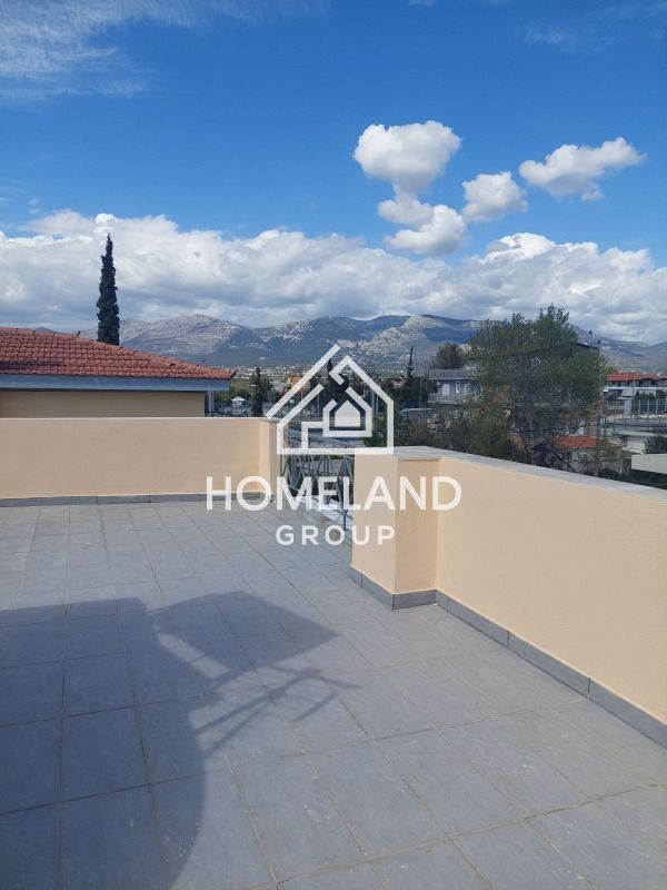 homelandgroup real estate agency