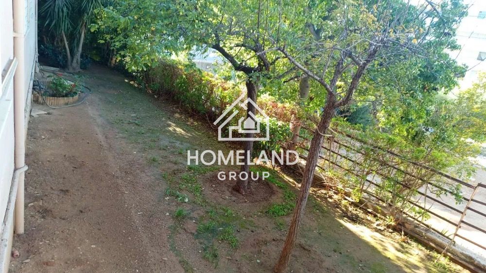 homelandgroup real estate agency