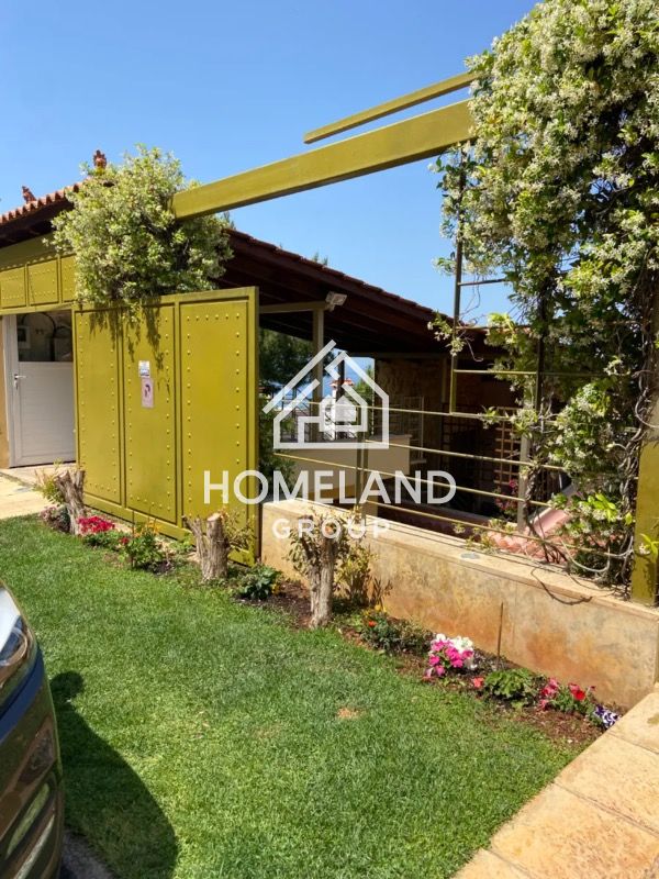 homelandgroup real estate agency