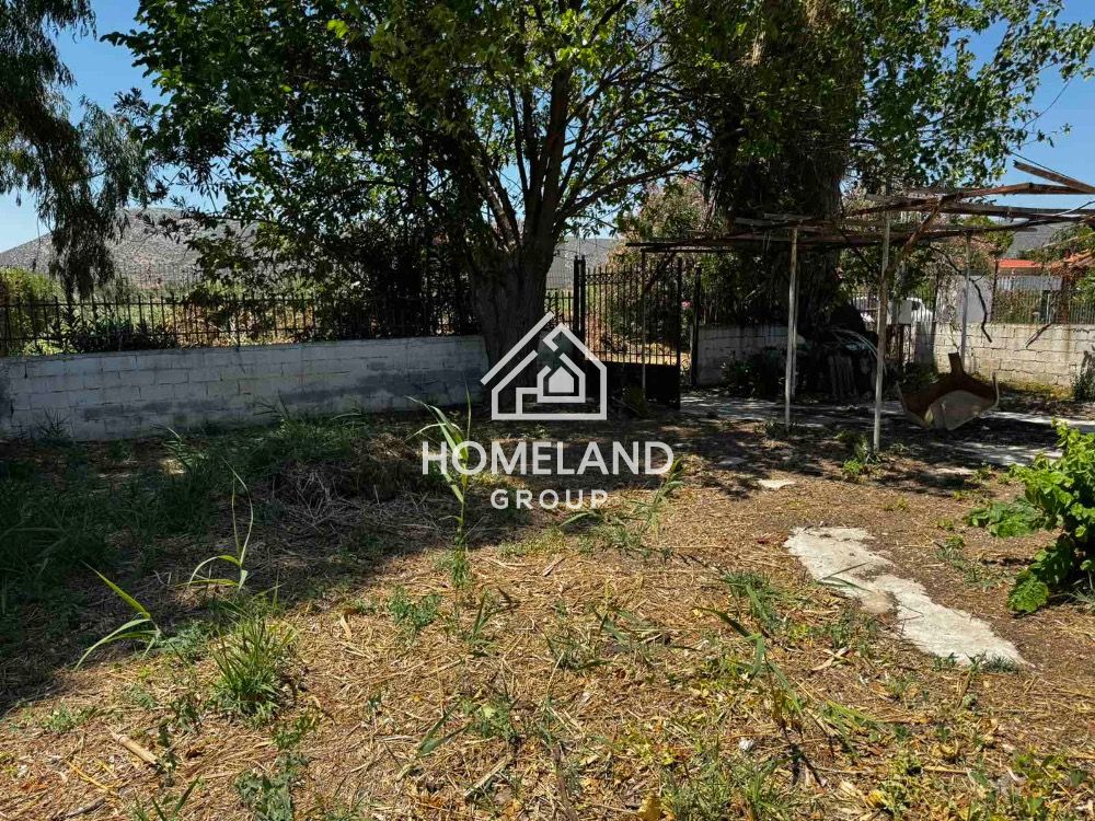 homelandgroup real estate agency