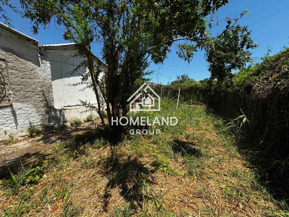 homelandgroup real estate agency