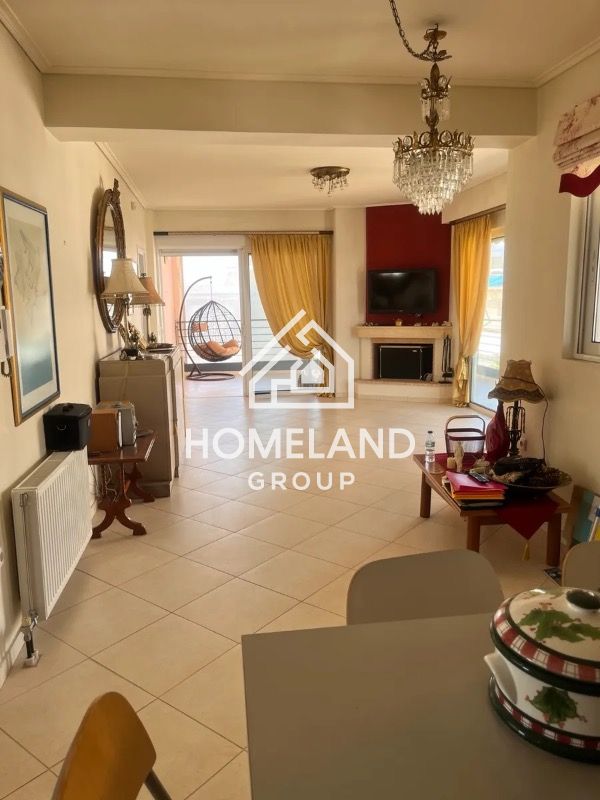 homelandgroup real estate agency