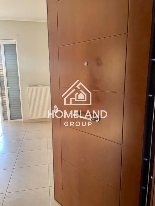 homelandgroup real estate agency