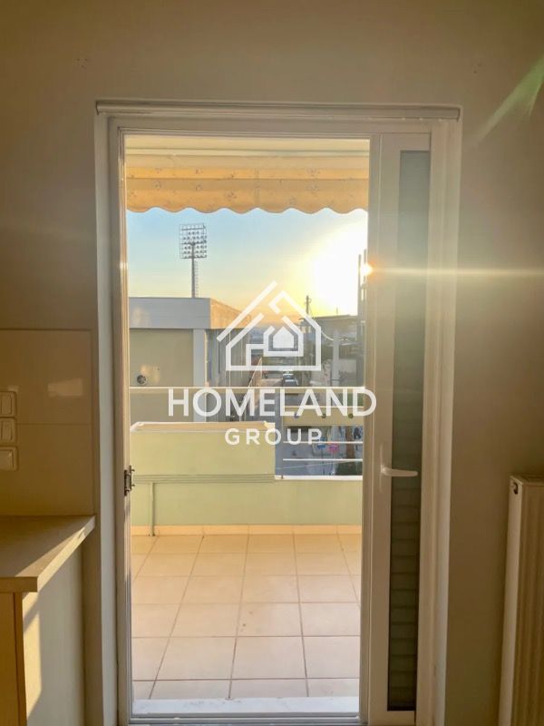 homelandgroup real estate agency