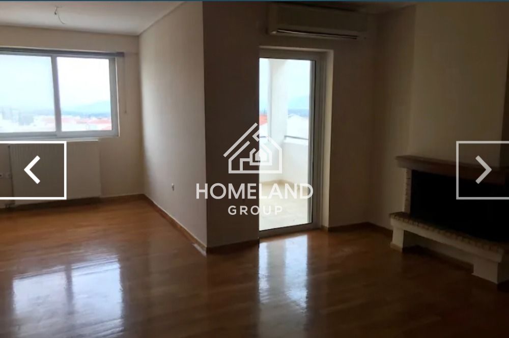 homelandgroup real estate agency