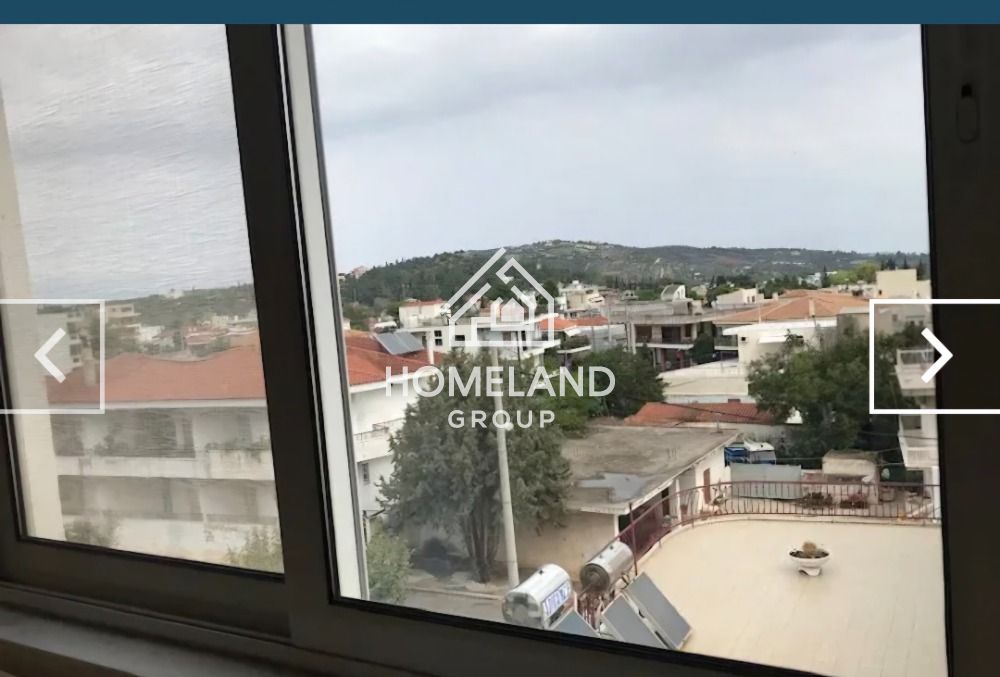 homelandgroup real estate agency