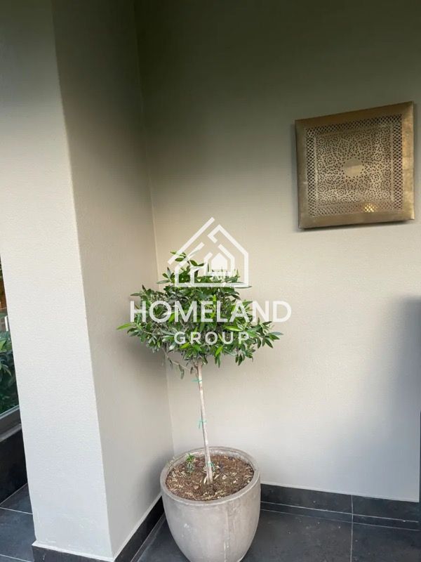 homelandgroup real estate agency