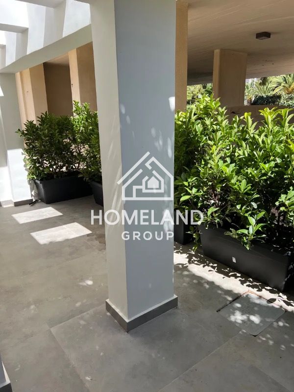 homelandgroup real estate agency