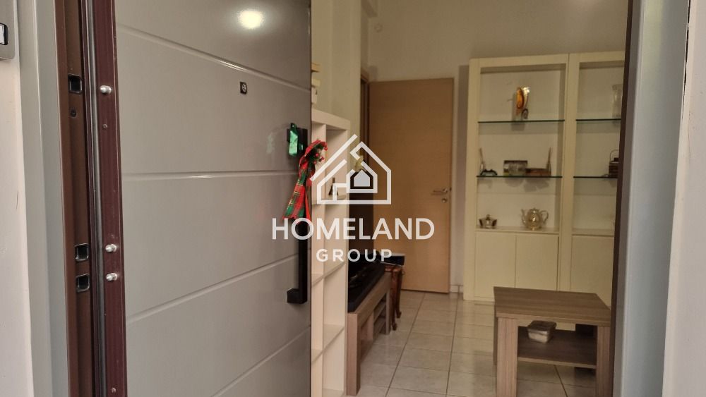 homelandgroup real estate agency