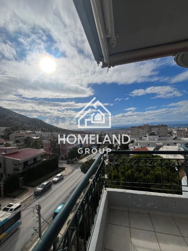 homelandgroup real estate agency