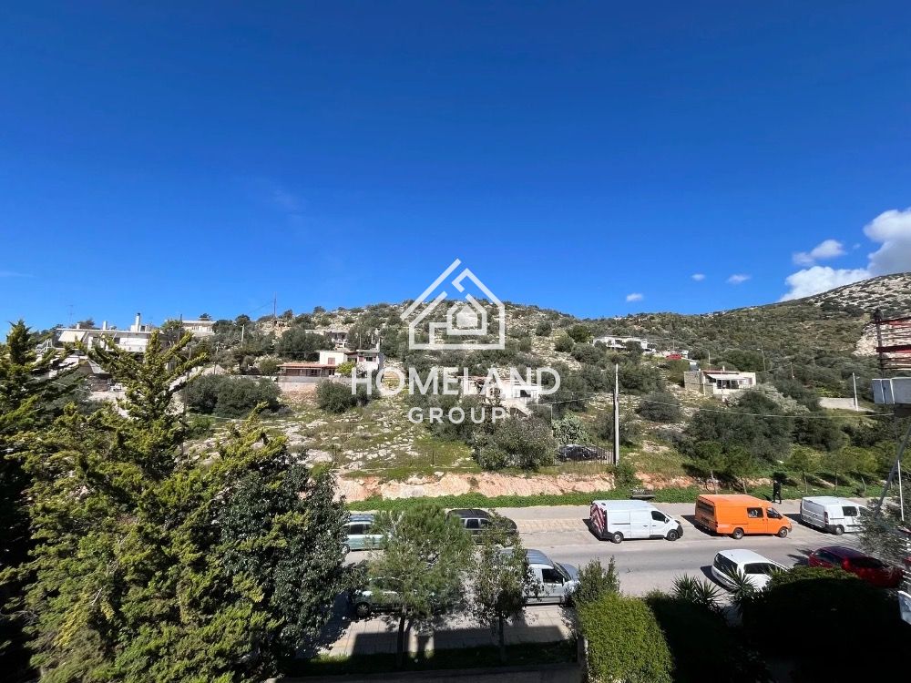 homelandgroup real estate agency