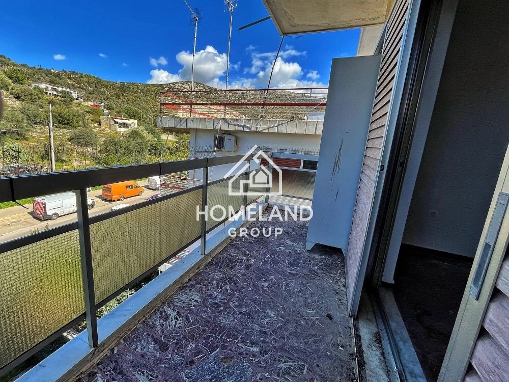homelandgroup real estate agency
