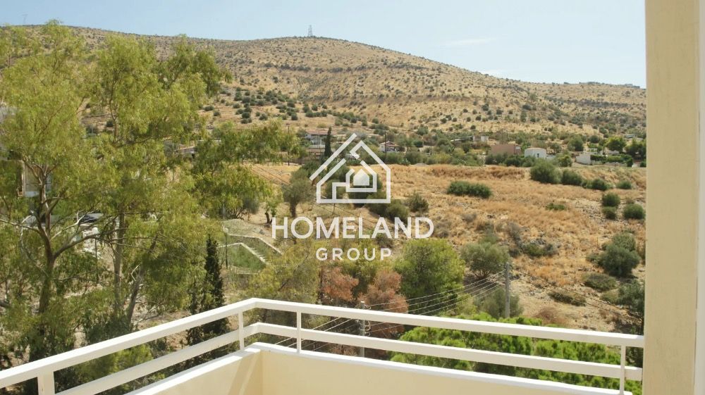 homelandgroup real estate agency