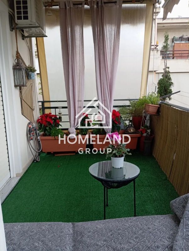 homelandgroup real estate agency